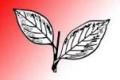 Kerala Congress (M)